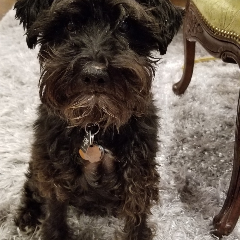 Meet your Posher, Leah